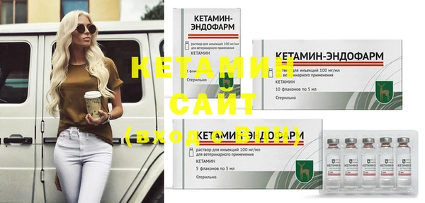 хмурый Аркадак