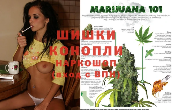 тгк Арсеньев