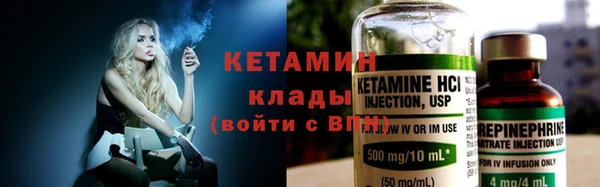 хмурый Аркадак