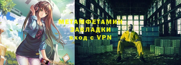 хмурый Аркадак