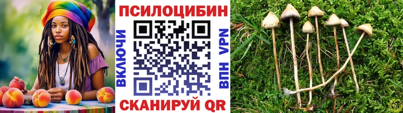 Галлюциногенные грибы Psilocybine cubensis Макарьев