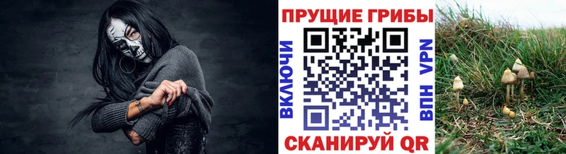 Псилоцибиновые грибы Psilocybine cubensis  где купить наркоту  Макарьев 